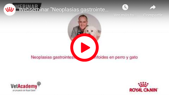 NEOPLASIAS GASTROINTESTINALES NO LINFOIDES EN PERRO Y GATO