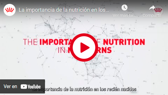 LA IMPORTANCIA DE LA NUTRICIÓN EN LOS RECIÉN NACIDOS